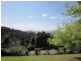 Dorrigo NSW 2453