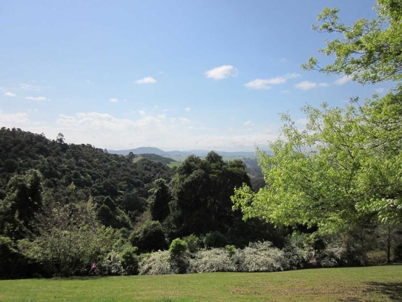 Dorrigo NSW 2453