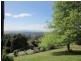 Dorrigo NSW 2453