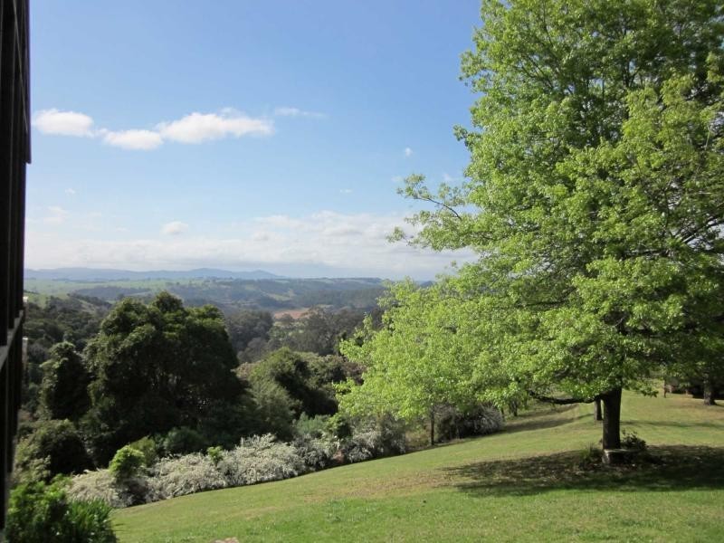 Dorrigo NSW 2453