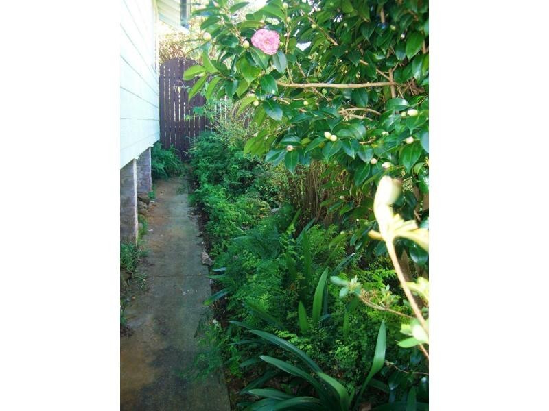 7 Beech Street, Dorrigo NSW 2453