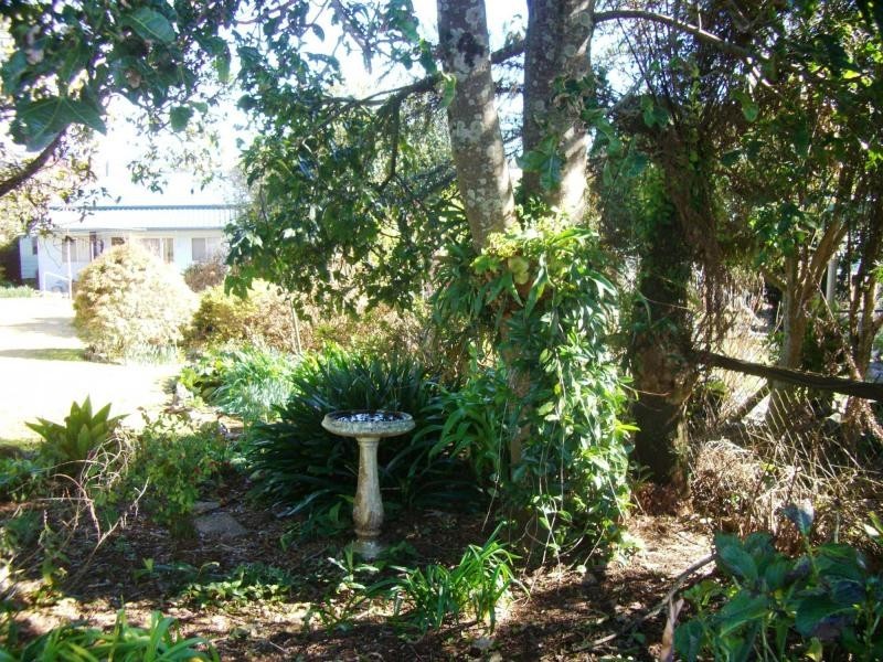 7 Beech Street, Dorrigo NSW 2453