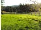7630 Armidale Road, Billys Creek NSW 2453