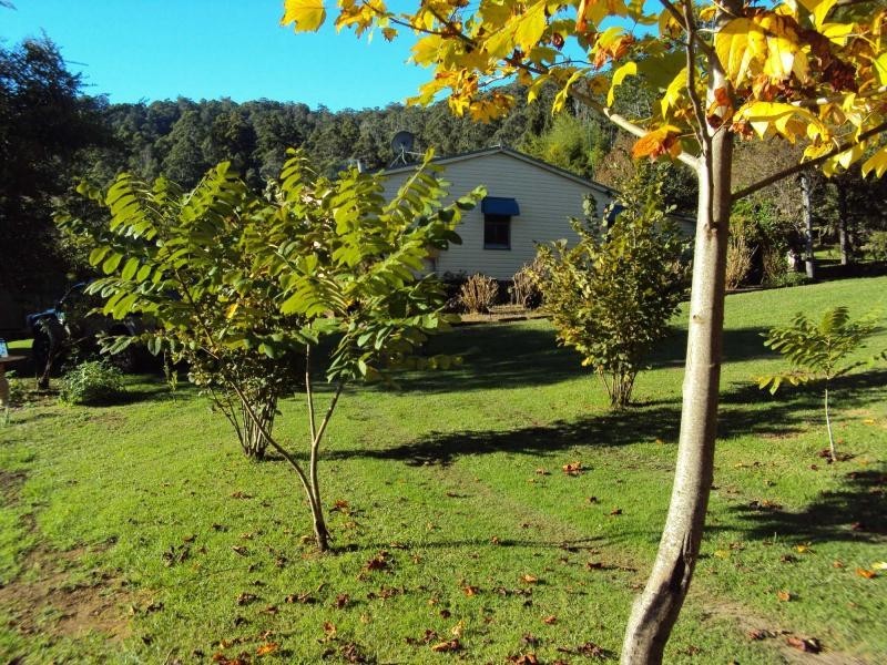 7630 Armidale Road, Billys Creek NSW 2453