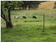 7630 Armidale Road, Billys Creek NSW 2453