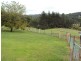 7630 Armidale Road, Billys Creek NSW 2453