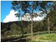 7630 Armidale Road, Billys Creek NSW 2453