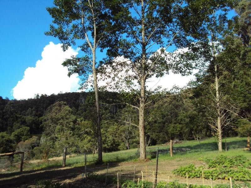 7630 Armidale Road, Billys Creek NSW 2453