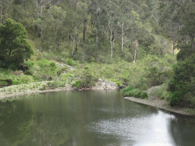 827 Harness Cask Road, Tyringham NSW 2453