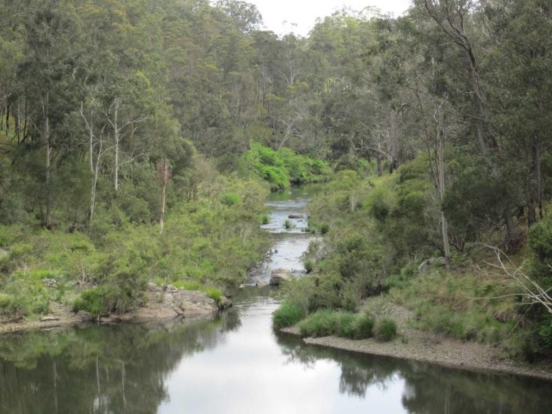 827 Harness Cask Road, Tyringham NSW 2453