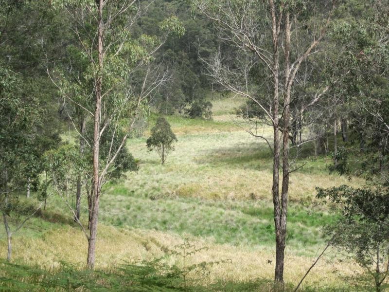 827 Harness Cask Road, Tyringham NSW 2453