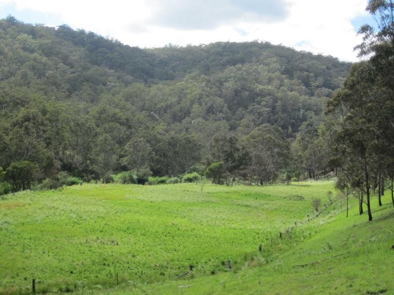 827 Harness Cask Road, Tyringham NSW 2453