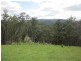 827 Harness Cask Road, Tyringham NSW 2453