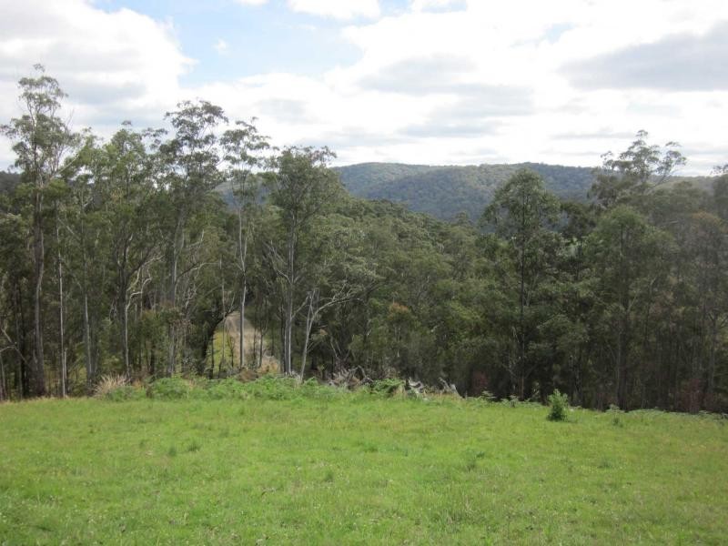 827 Harness Cask Road, Tyringham NSW 2453