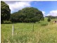 55 Old Coast Road, Dorrigo NSW 2453