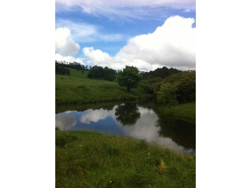 55 Old Coast Road, Dorrigo NSW 2453