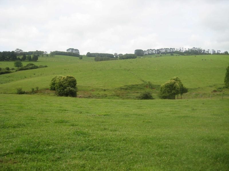 55 Old Coast Road, Dorrigo NSW 2453