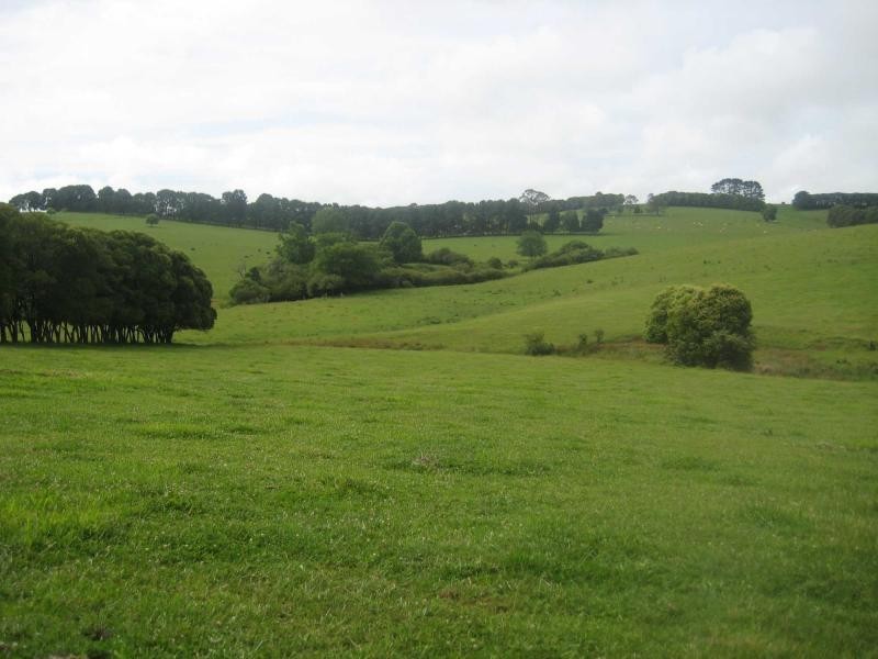 55 Old Coast Road, Dorrigo NSW 2453