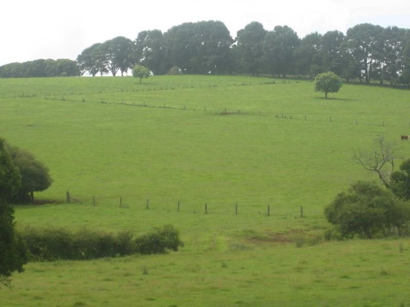 55 Old Coast Road, Dorrigo NSW 2453