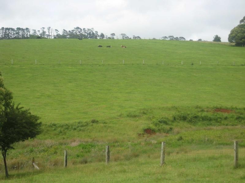 55 Old Coast Road, Dorrigo NSW 2453