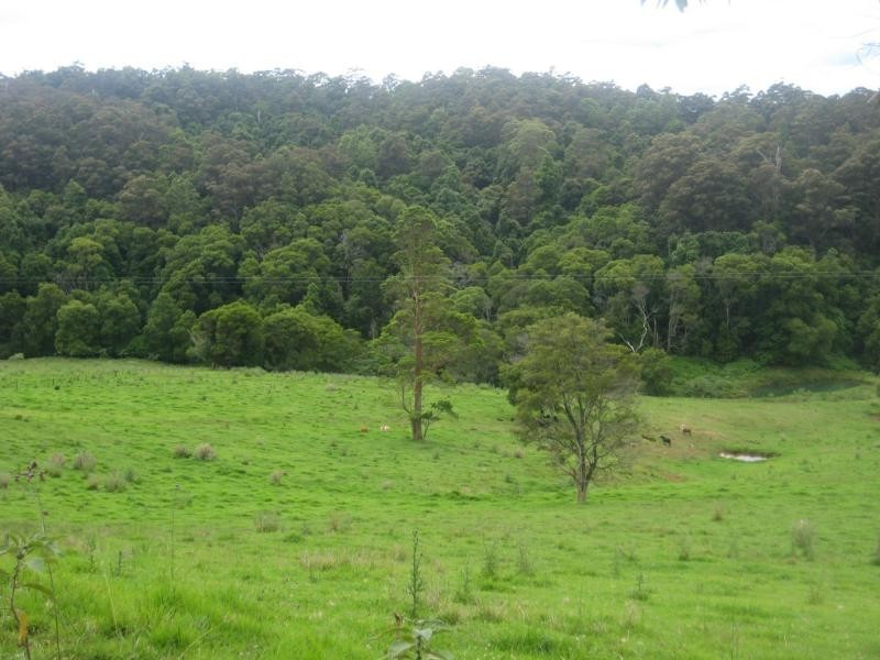 Billys Creek NSW 2453