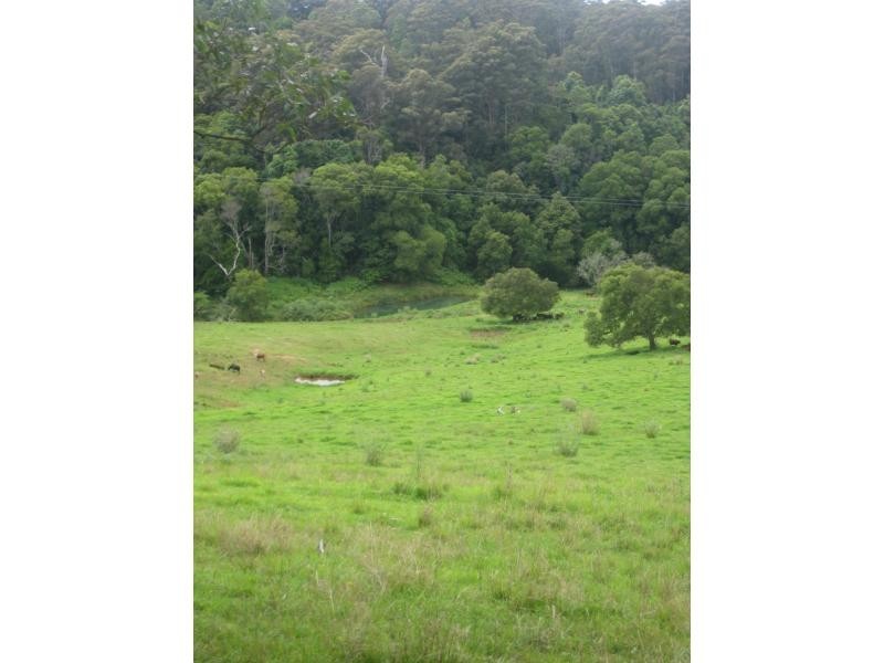 Billys Creek NSW 2453