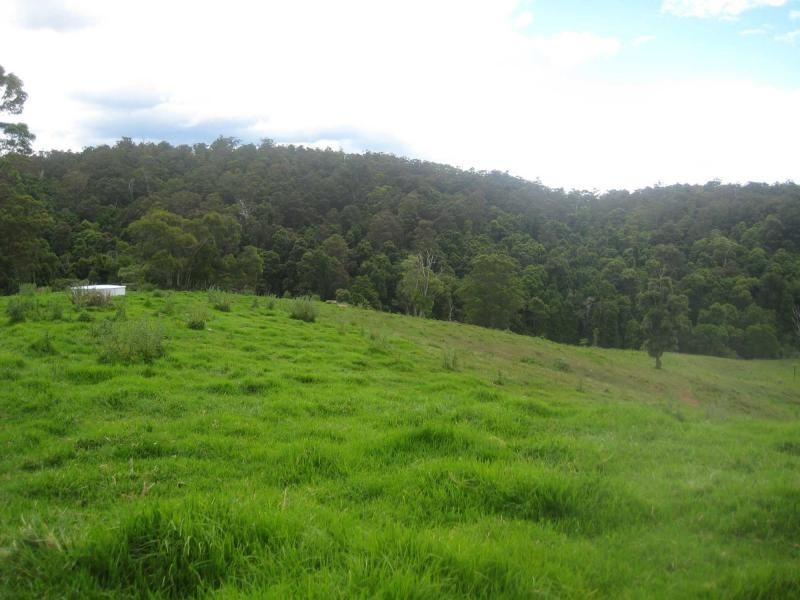 L25 Shultz’s Road, Billys Creek NSW 2453