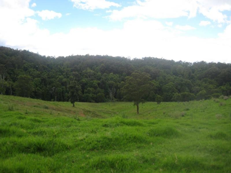 L25 Shultz’s Road, Billys Creek NSW 2453