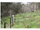 Lot 1 Harness Cask Road, Bostobrick NSW 2453
