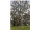 Lot 1 Harness Cask Road, Bostobrick NSW 2453