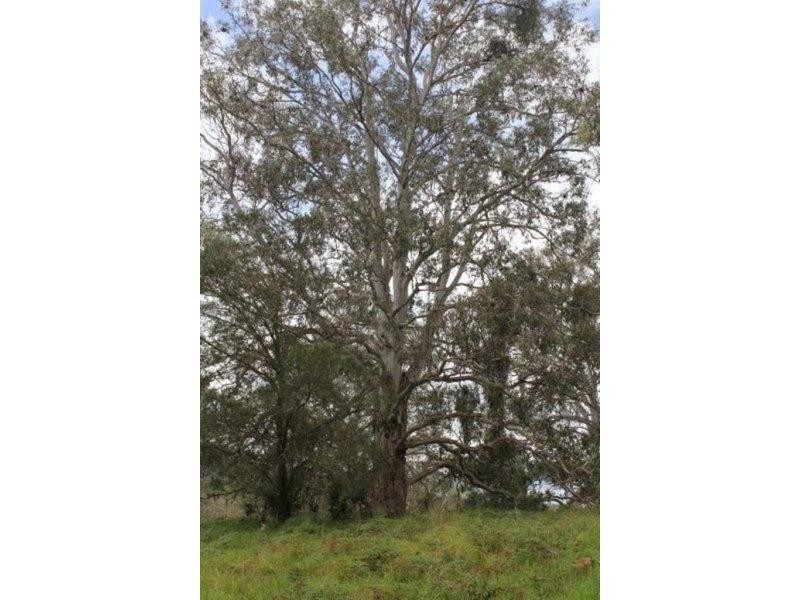 Lot 1 Harness Cask Road, Bostobrick NSW 2453