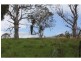 Lot 1 Harness Cask Road, Bostobrick NSW 2453