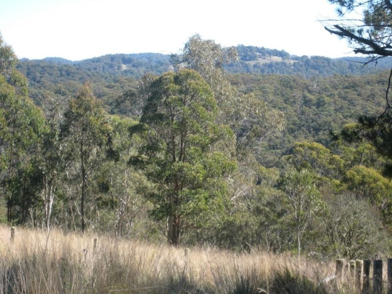 9722 Armidale Road, Dorrigo, Tyringham NSW 2453