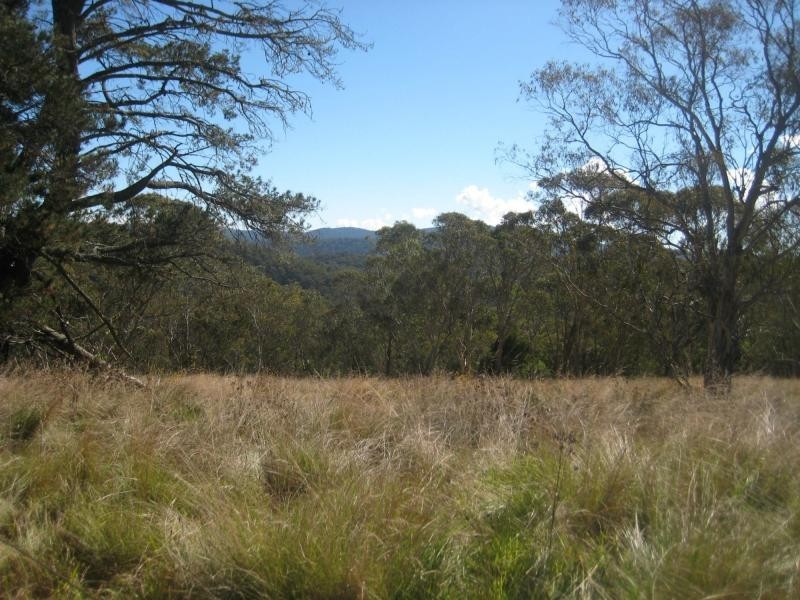 9722 Armidale Road, Dorrigo, Tyringham NSW 2453