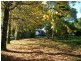 325 Dome Road, Dorrigo NSW 2453