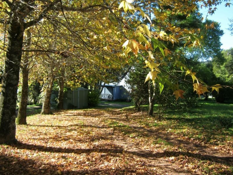 325 Dome Road, Dorrigo NSW 2453