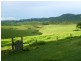 325 Dome Road, Dorrigo NSW 2453