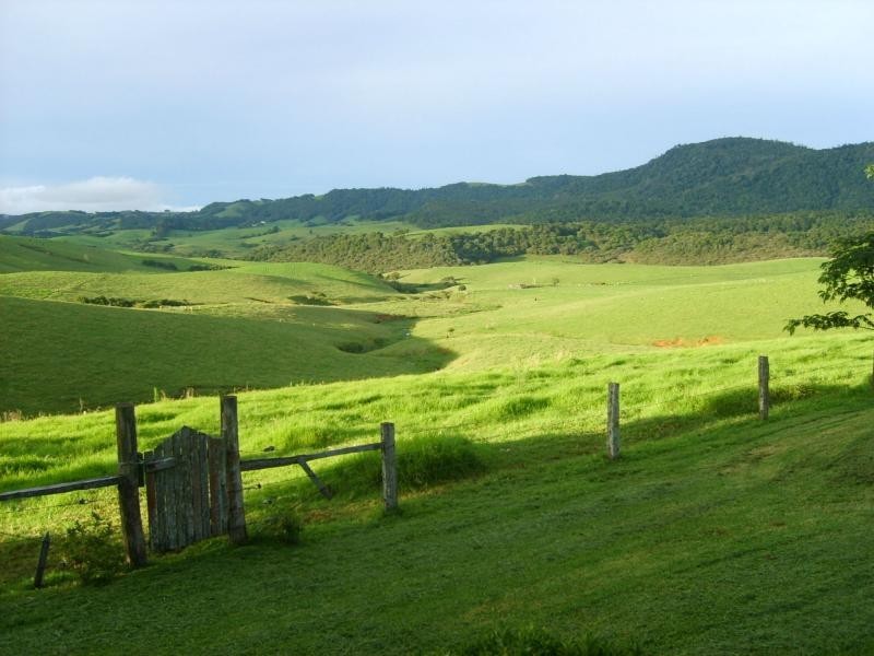 325 Dome Road, Dorrigo NSW 2453
