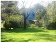 325 Dome Road, Dorrigo NSW 2453