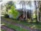 325 Dome Road, Dorrigo NSW 2453