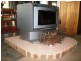 325 Dome Road, Dorrigo NSW 2453