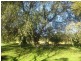 325 Dome Road, Dorrigo NSW 2453