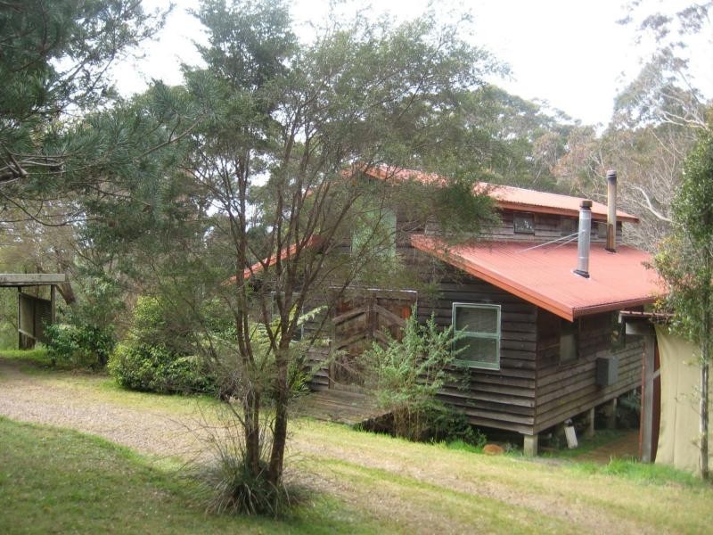 Dorrigo NSW 2453