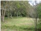 Dorrigo NSW 2453