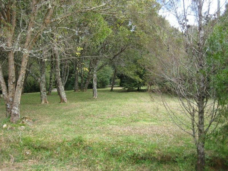 Dorrigo NSW 2453