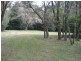 Dorrigo NSW 2453