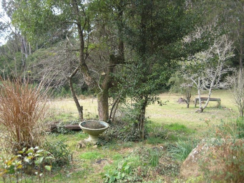 Dorrigo NSW 2453