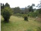 Dorrigo NSW 2453