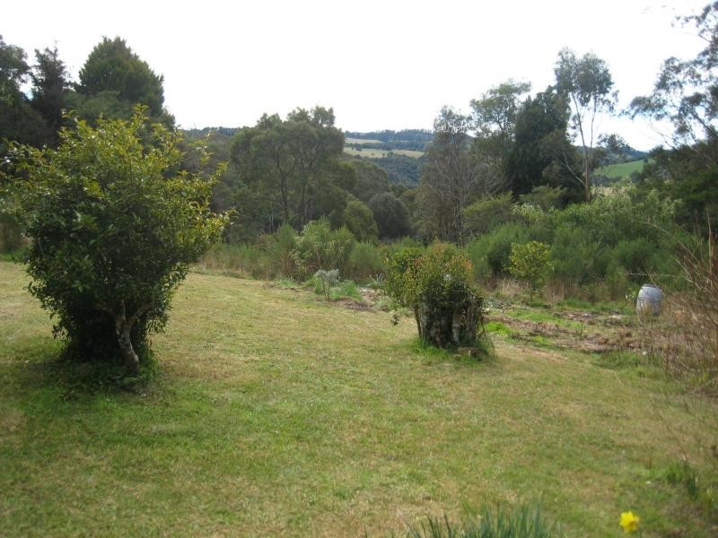Dorrigo NSW 2453