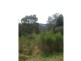 Dorrigo NSW 2453
